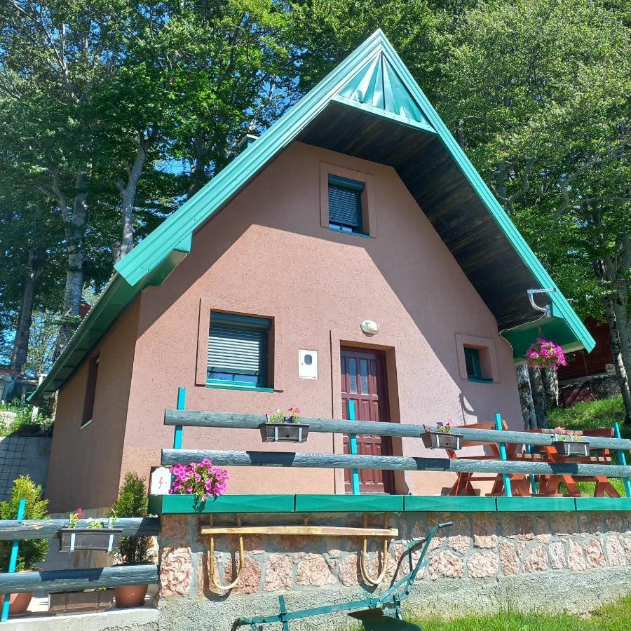 Vila Darija Žabljak Екстериор снимка