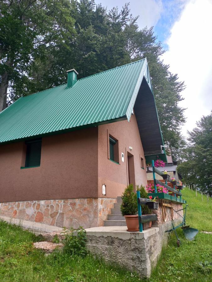 Vila Darija Žabljak Екстериор снимка